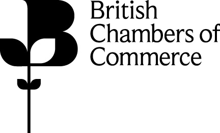 BCC Quarterly Economic Survey Q4 2020: Business conditions remain weak and show no signs of improvement for vast majority of firms