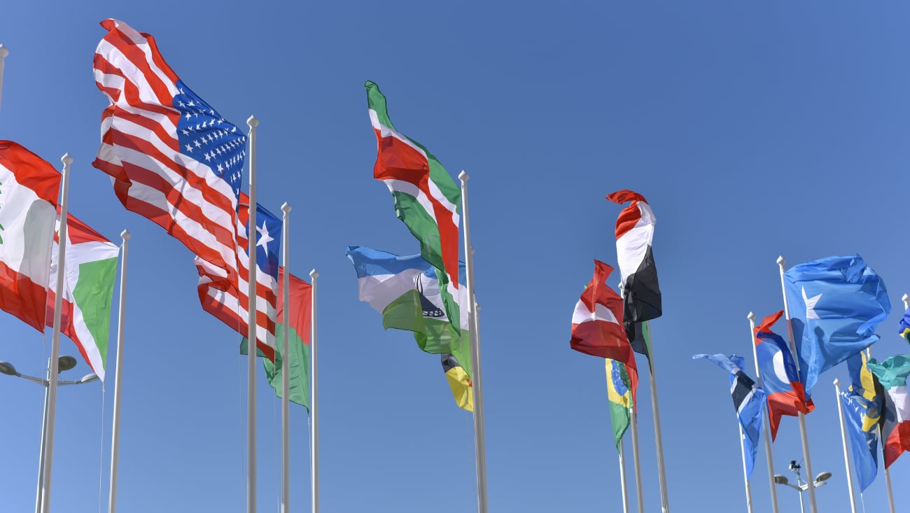 Expanding Horizons: Free International Trade Support for Bedfordshire Businesses