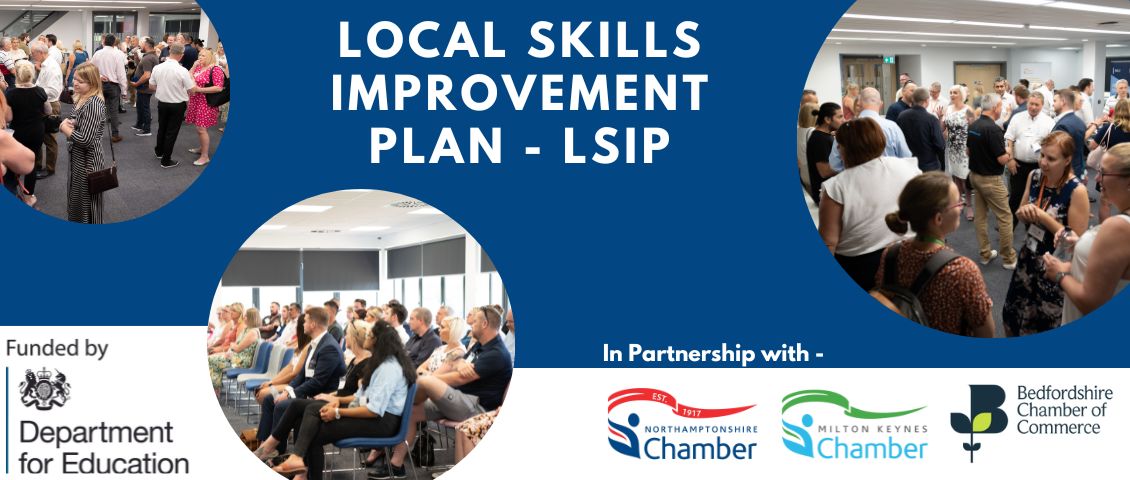 Local Skills Improvement Plans (LSIP) Report