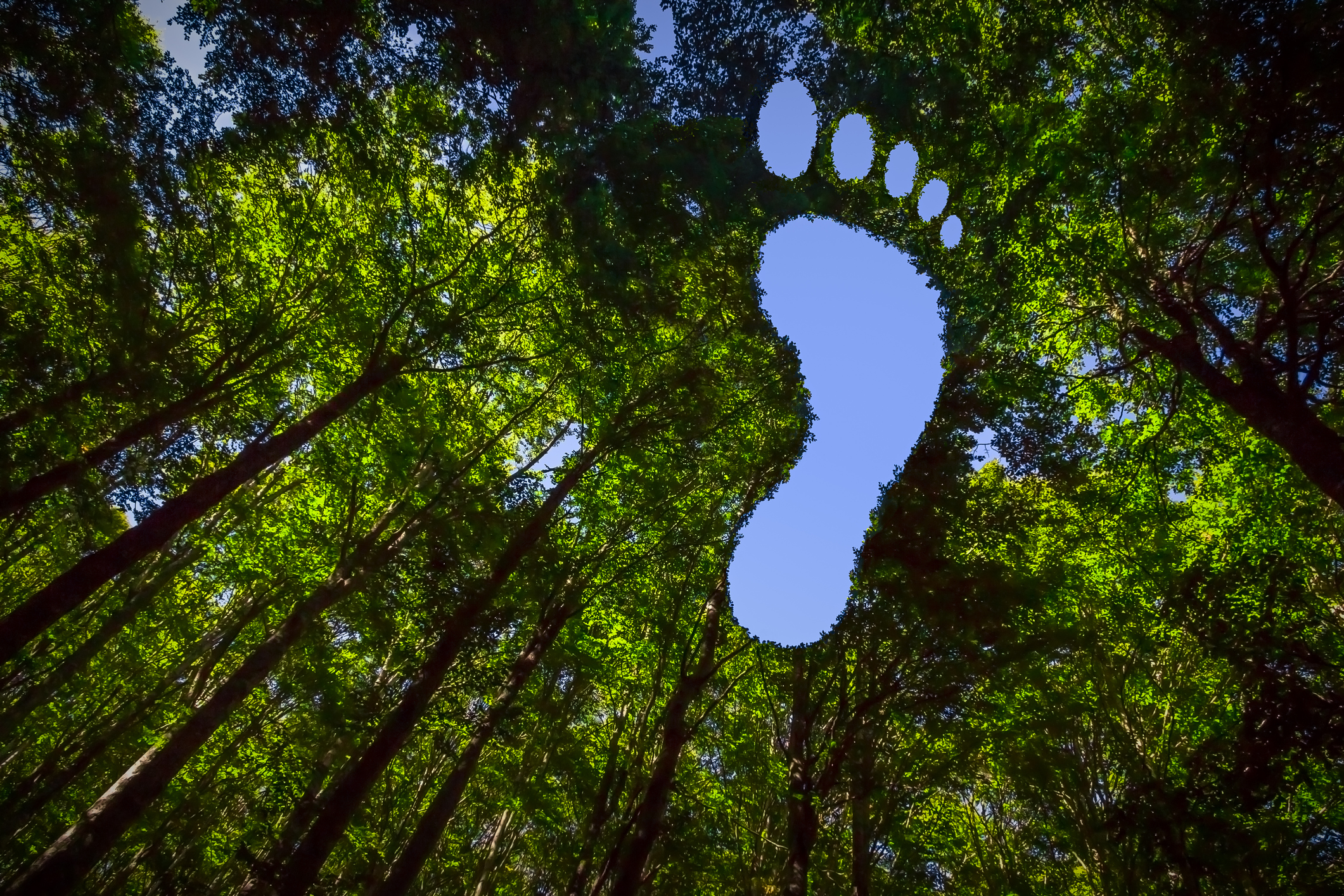 Partner Interview: Will Richardson of Compare Your Footprint – Enabling Businesses to Measure and Tackle Carbon Emissions